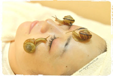 Pourquoi la bave d’escargot reste l’ingrédient star de la K-beauty